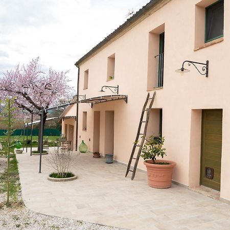 B&B Le Rondini Ostra Senigallia Casine  Exteriör bild
