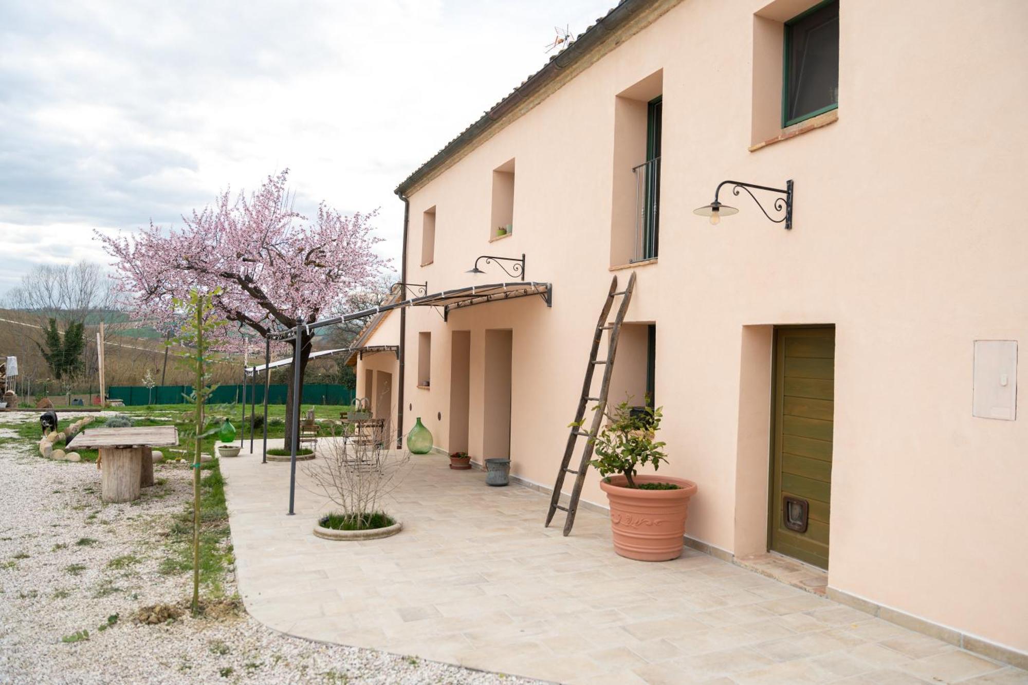 B&B Le Rondini Ostra Senigallia Casine  Exteriör bild