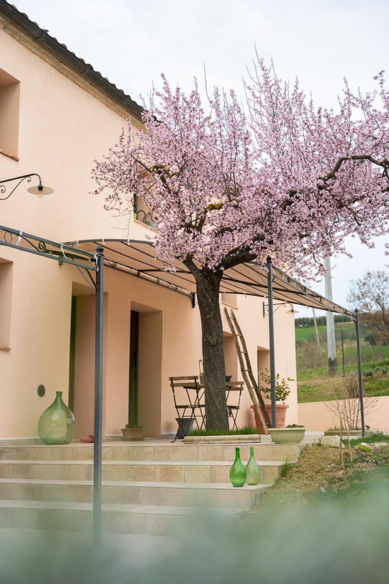 B&B Le Rondini Ostra Senigallia Casine  Exteriör bild